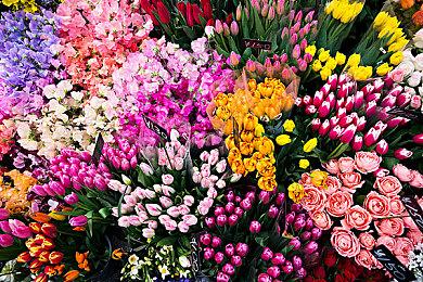 《腐烂国度3》开发工作顺利 Xbox老大非常期待