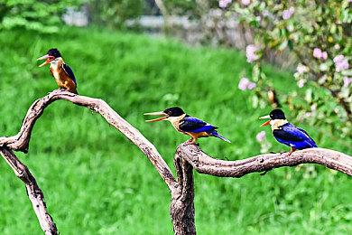 《银河战士：生存恐惧》新增高难选项女主被碰即死